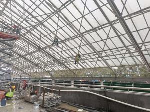 网架加固，图纸难题挡路？